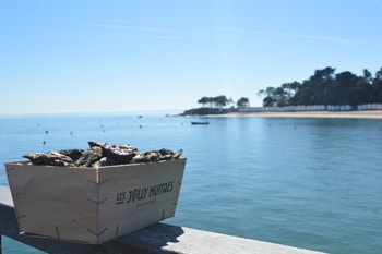 bourriche-jolly-huitre-plage-des-dames-noirmoutier