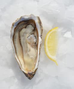 jolly-huitre-numero-1