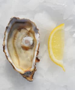 jolly-huitre-numero-2