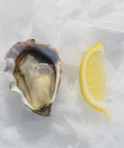 jolly-huitre-numero-3